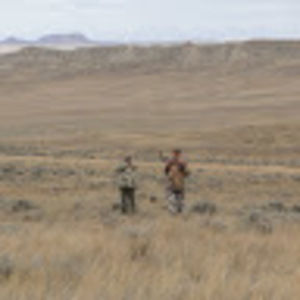 Meet your Posher, Tommaso